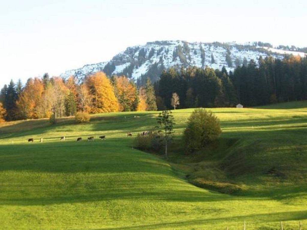 Bauernhof Hammerer Egg Zimmer foto